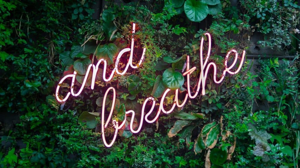 and breathe neon sign on tre