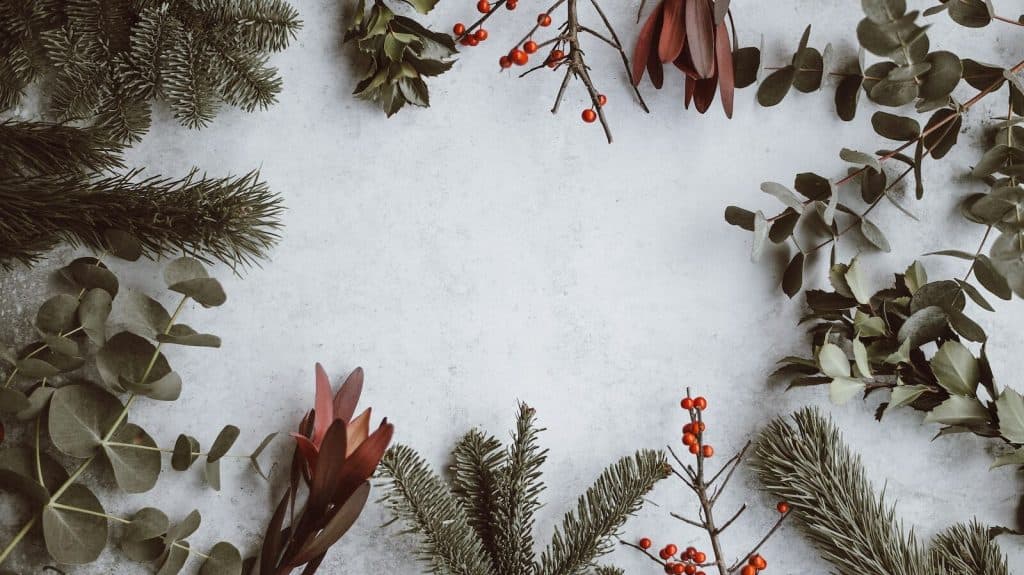 assorted-type of leaves lying on white panel